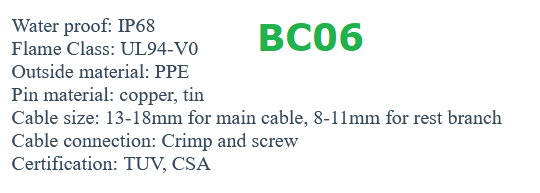 3 m AC-Kabel mit Schukostecker und BC06-Stecker